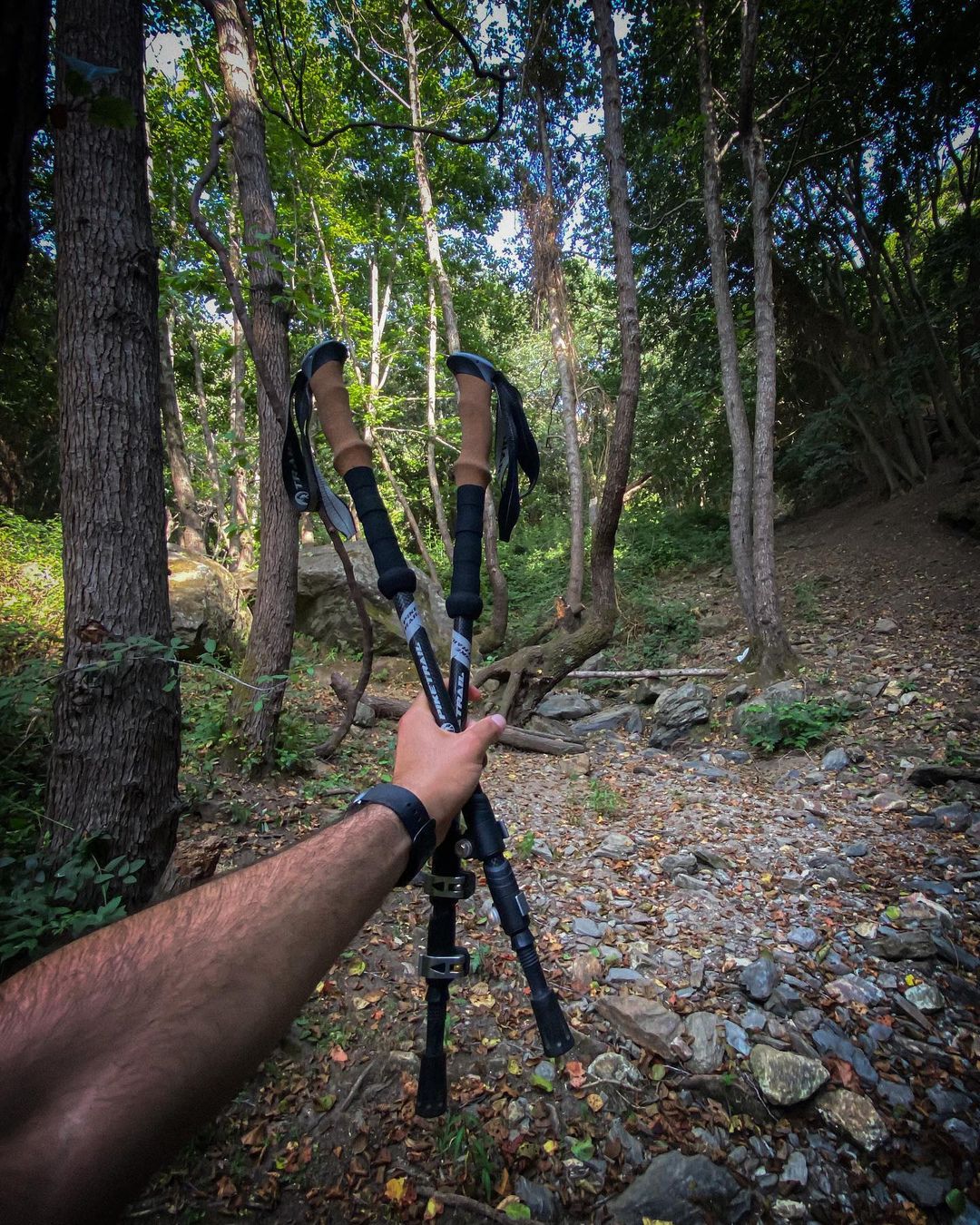 10 Unconventional Uses of Trekking Poles | Embrace Versatility with Pike Trail Gear