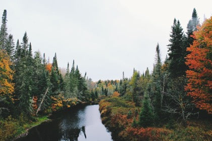 The Best Scenic Autumn Paddling Trips