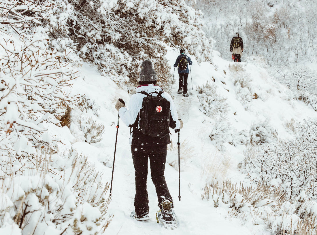 Essentials for Snowshoeing