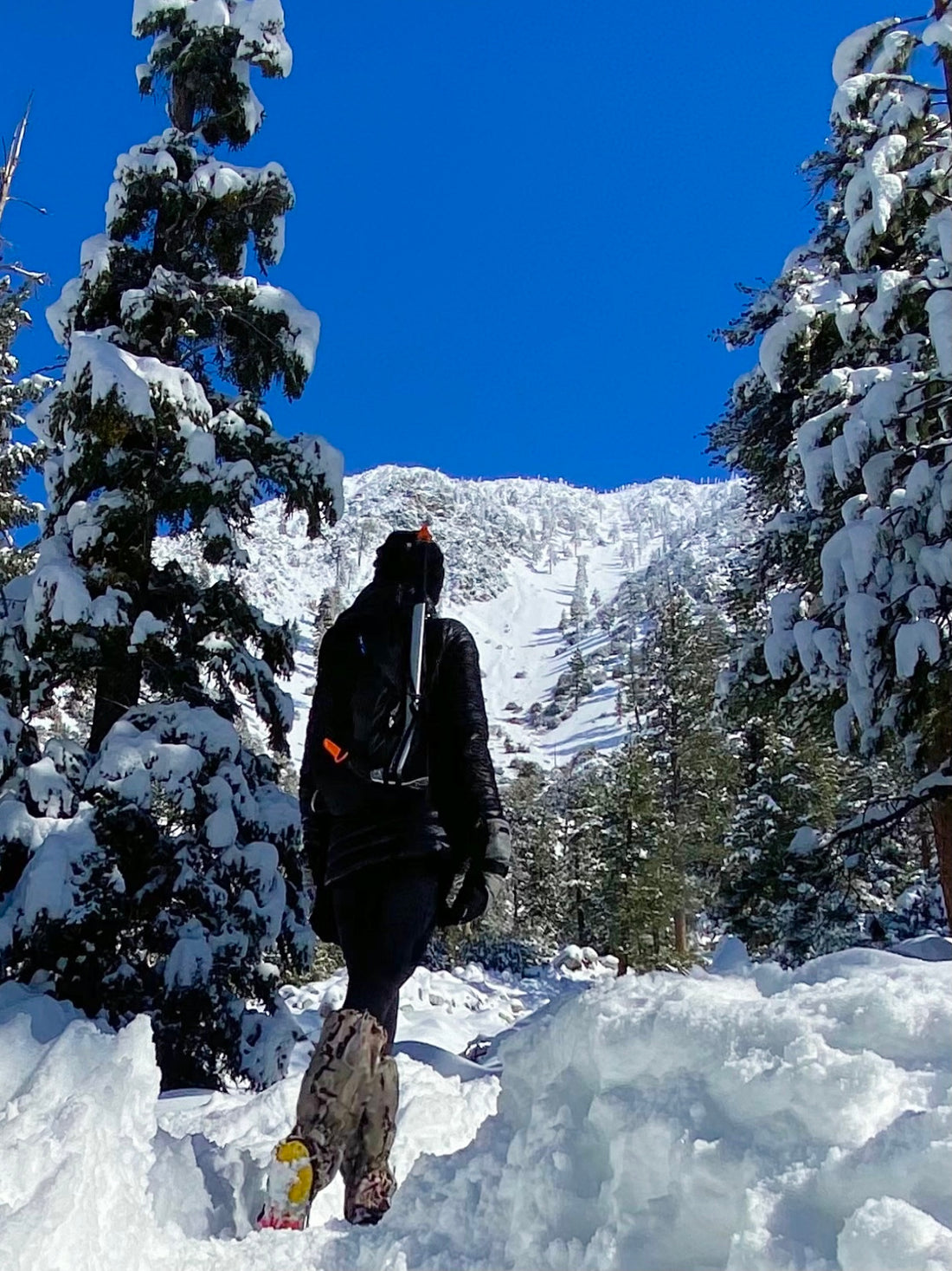 3 Surprising Reasons that You'll Enjoy Winter Hiking Plus the Top Winter Hiking Trails