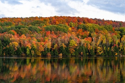 Top Hiking Destinations for Spectacular Fall Foliage