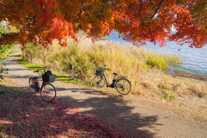 Scenic Autumn Bike Trails You Need to Try