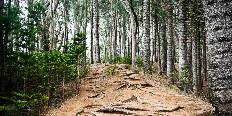 The Ultra-Light 5 Day Hike