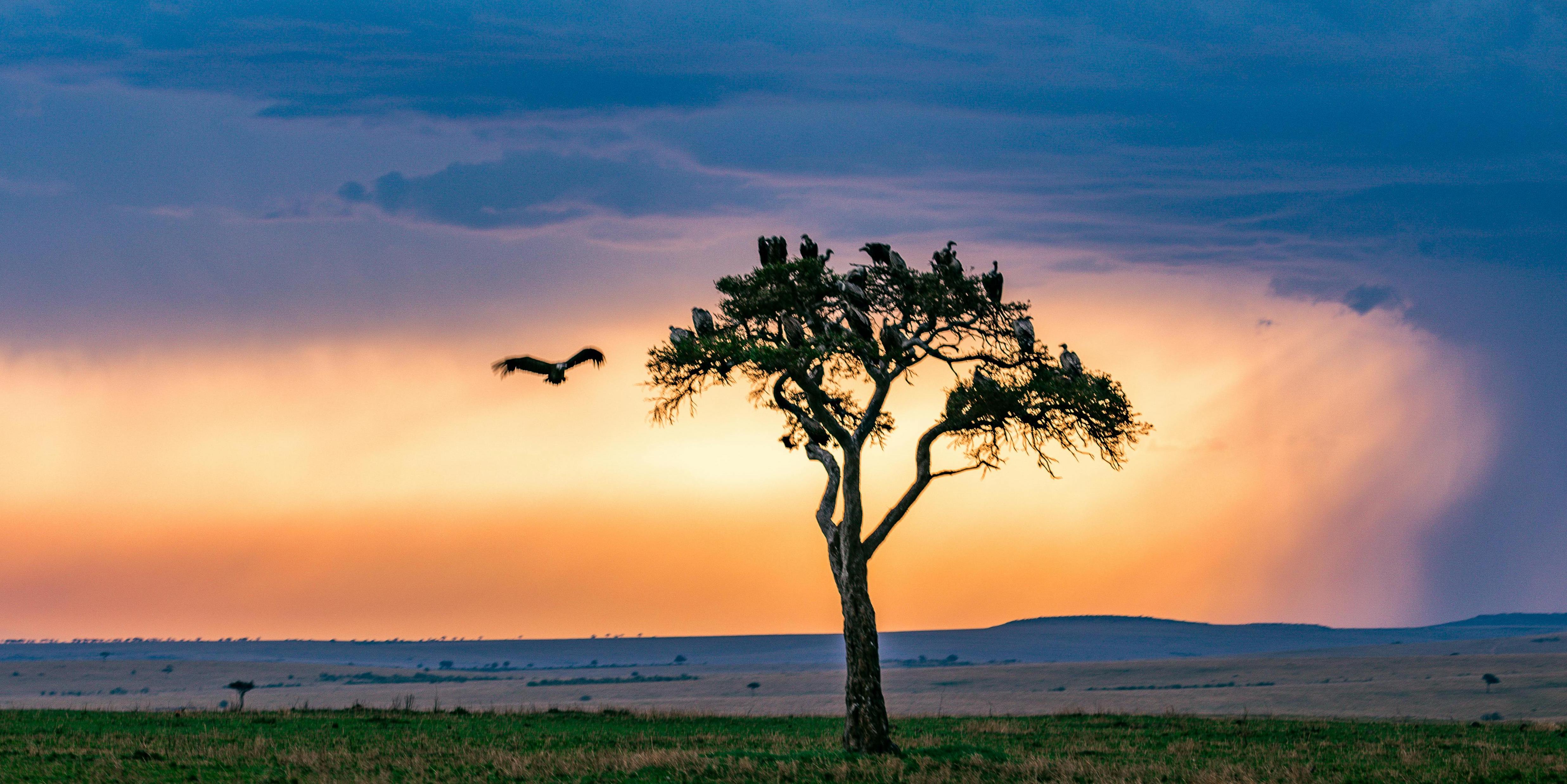 Celebrating Earth Day: How Outdoor Enthusiasts Can Champion Conservation