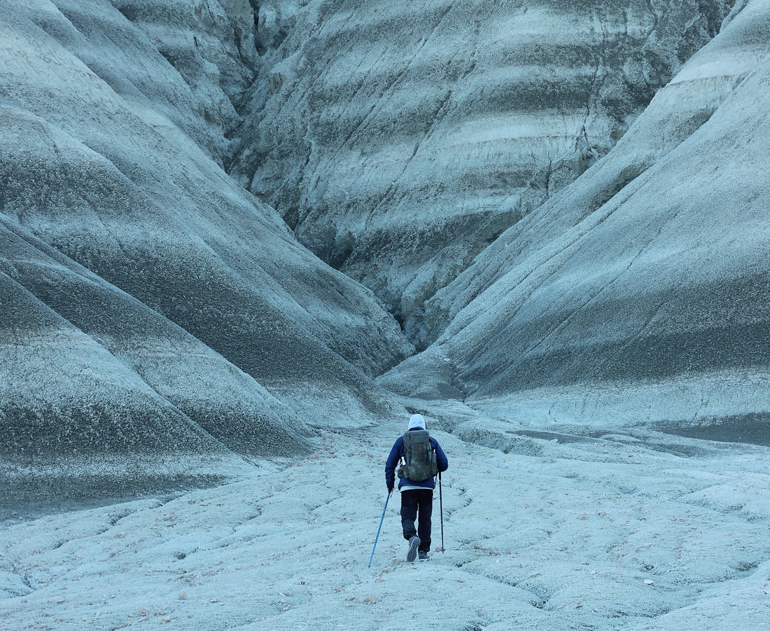 Hiking Essentials: Why Gaiters and Trekking Poles Are Worth Every Penny