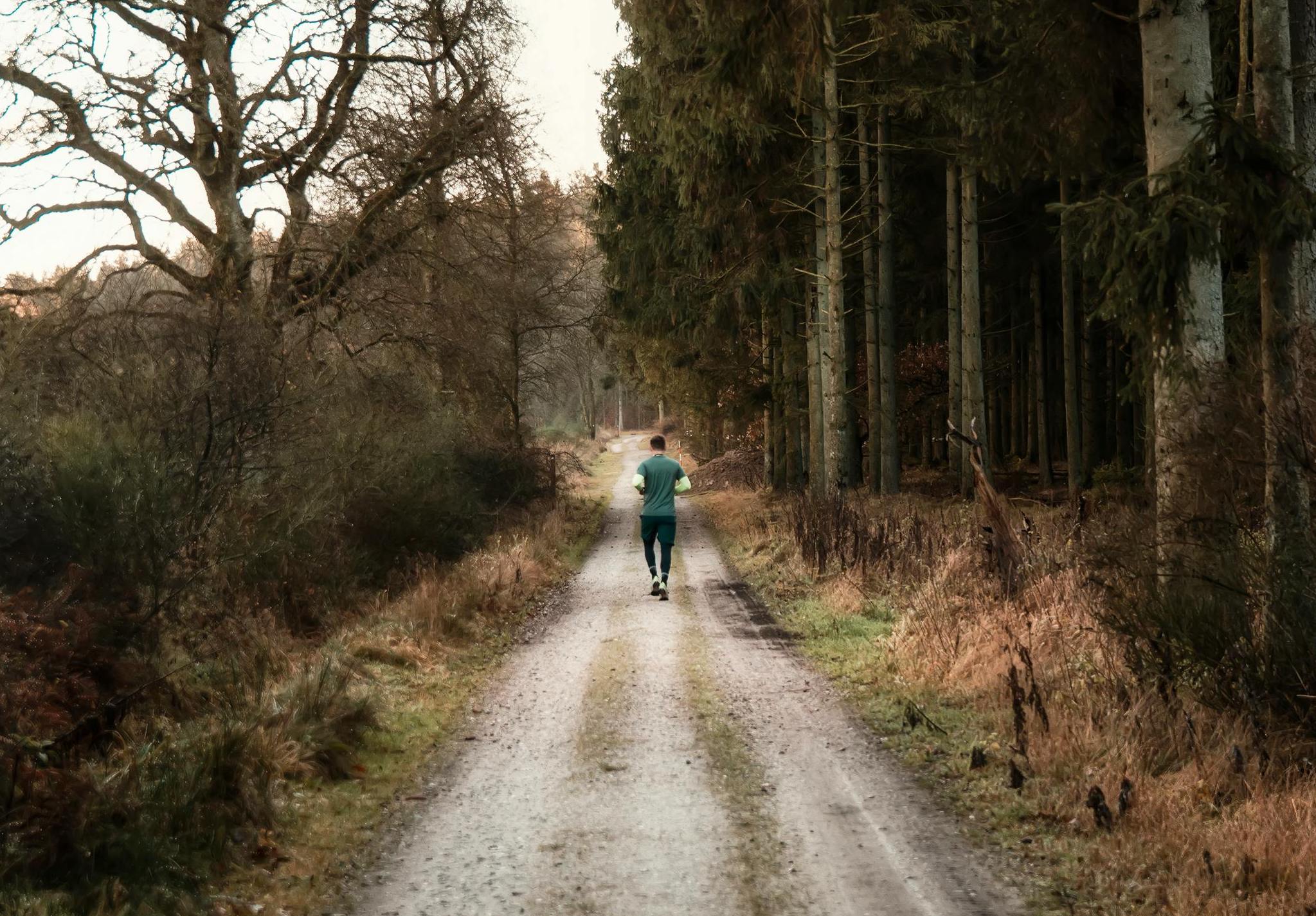 A Beginner's Guide to Trail Running: Tips and Techniques
