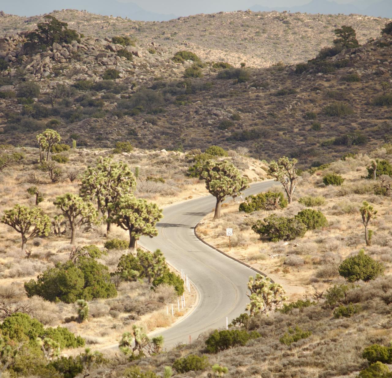 Visiting Joshua Tree National Park: Its Unique History, What to See, and How to Get There