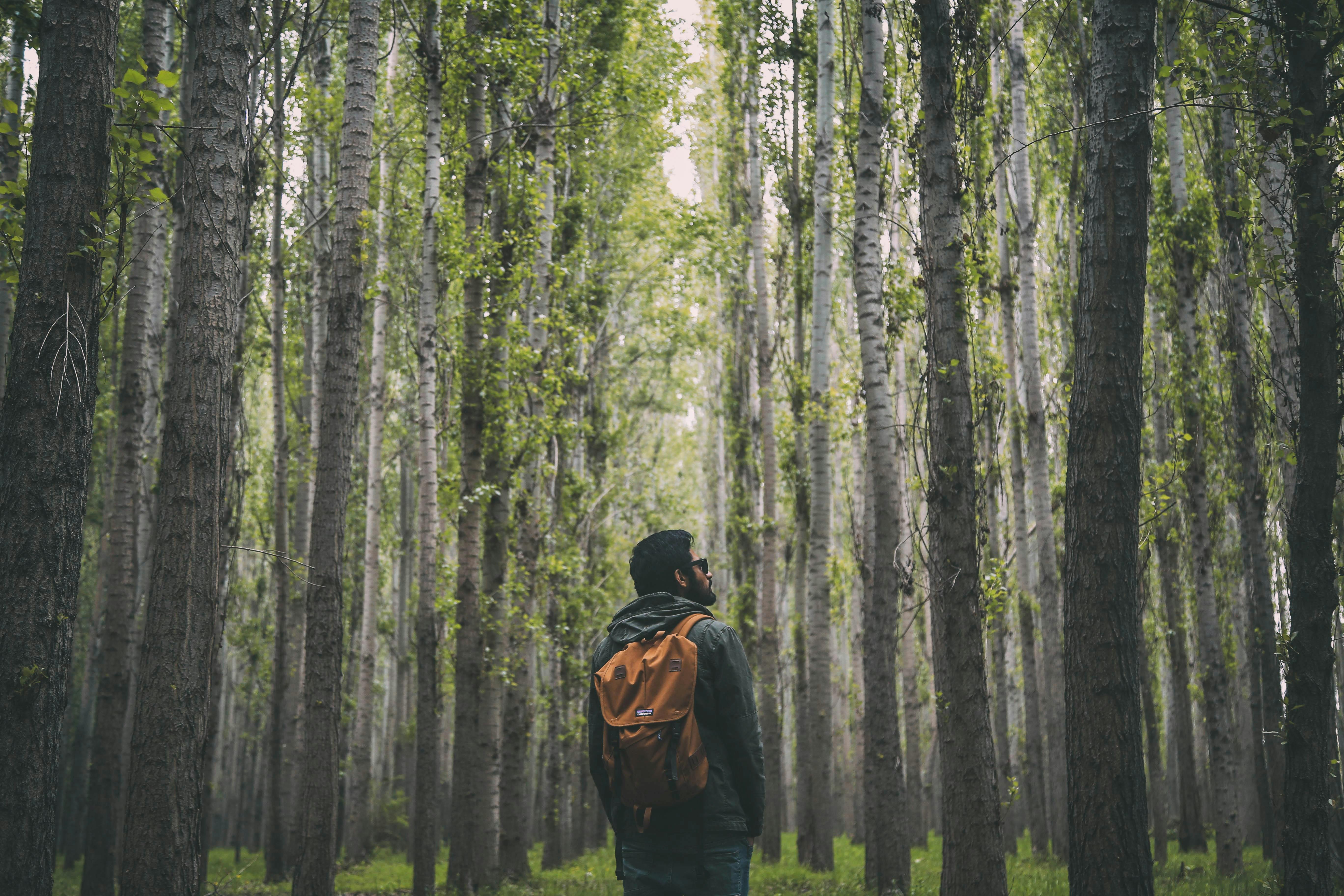 Hiking for Mental Health: The Therapeutic Benefits of Spending Time in Nature