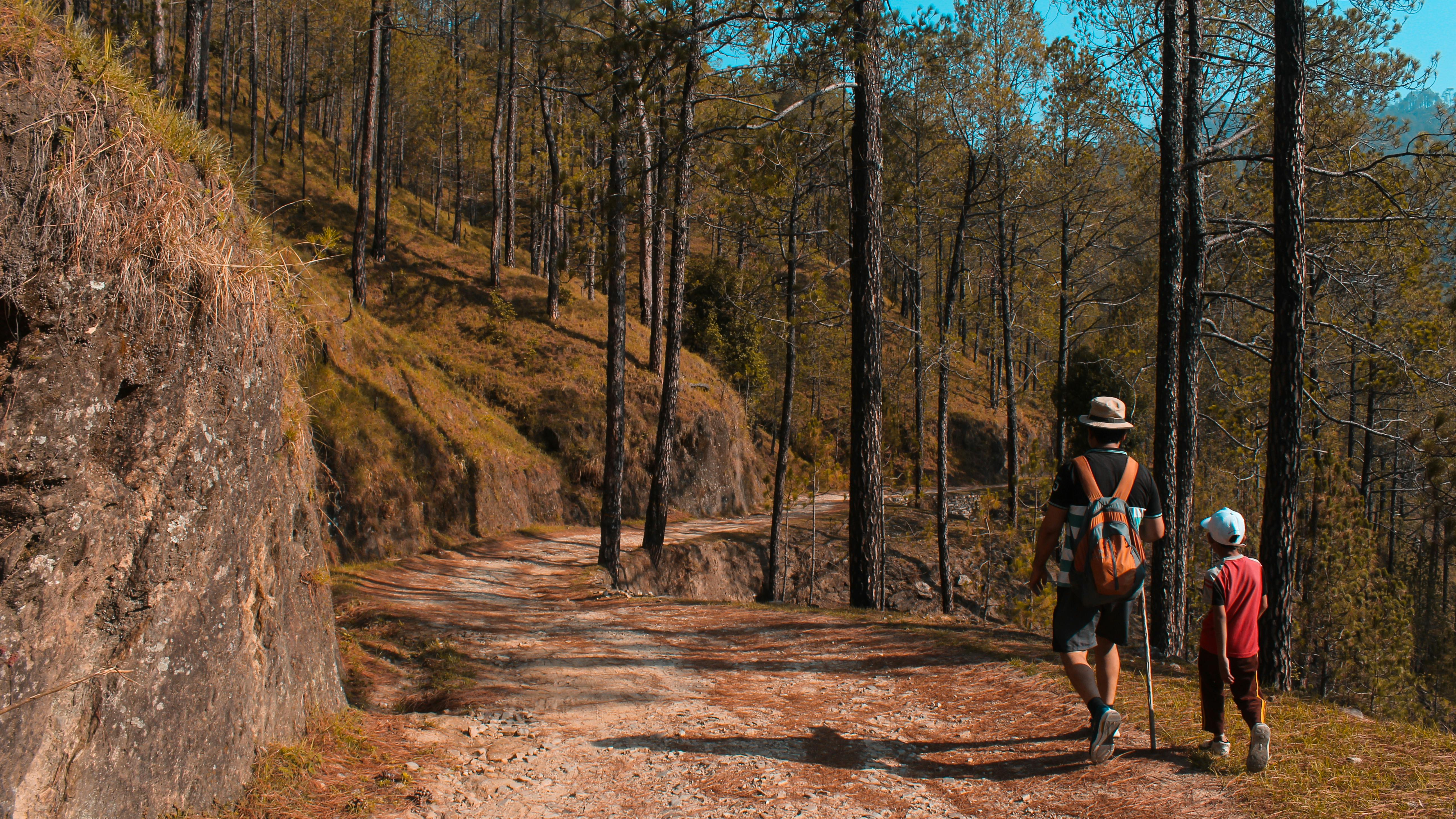 Hiking with Kids: Fun Activities and Safety Precautions for Family Adventures