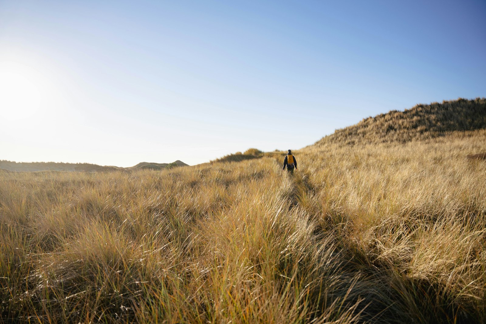 Hiker walking through tall grass and brush on a wooded trail, where ticks commonly wait to latch on
