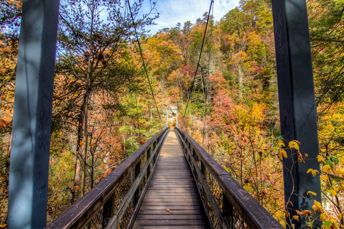 Fall Hiking Delights: Witnessing Wildlife and Nature's Changes