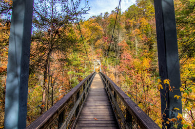 Fall Hiking Delights: Witnessing Wildlife and Nature's Changes