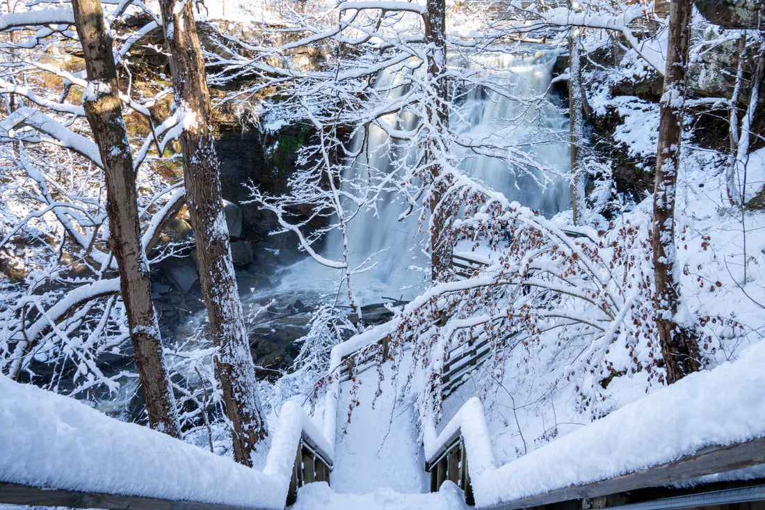 Embrace the Winter Wonderland: Best Midwest Trails for Winter Hiking with Pike Trail's Ultralight Carbon Fiber Trekking Poles