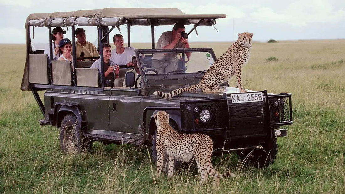 Summer Wildlife Safaris: Discovering Exotic Creatures | Gear Guide with Pike Trail Products