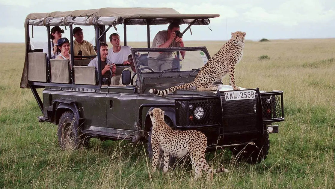 Summer Wildlife Safaris: Discovering Exotic Creatures | Gear Guide wit ...