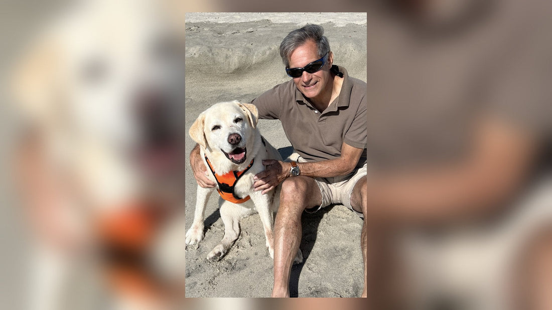 Coast to Coast at 66: Dan Cronin's 3,800-Mile Ride Home