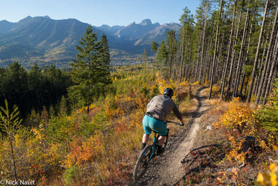 Fall's Beauty Unveiled: Mountain Biking and Wildlife Watching Adventures