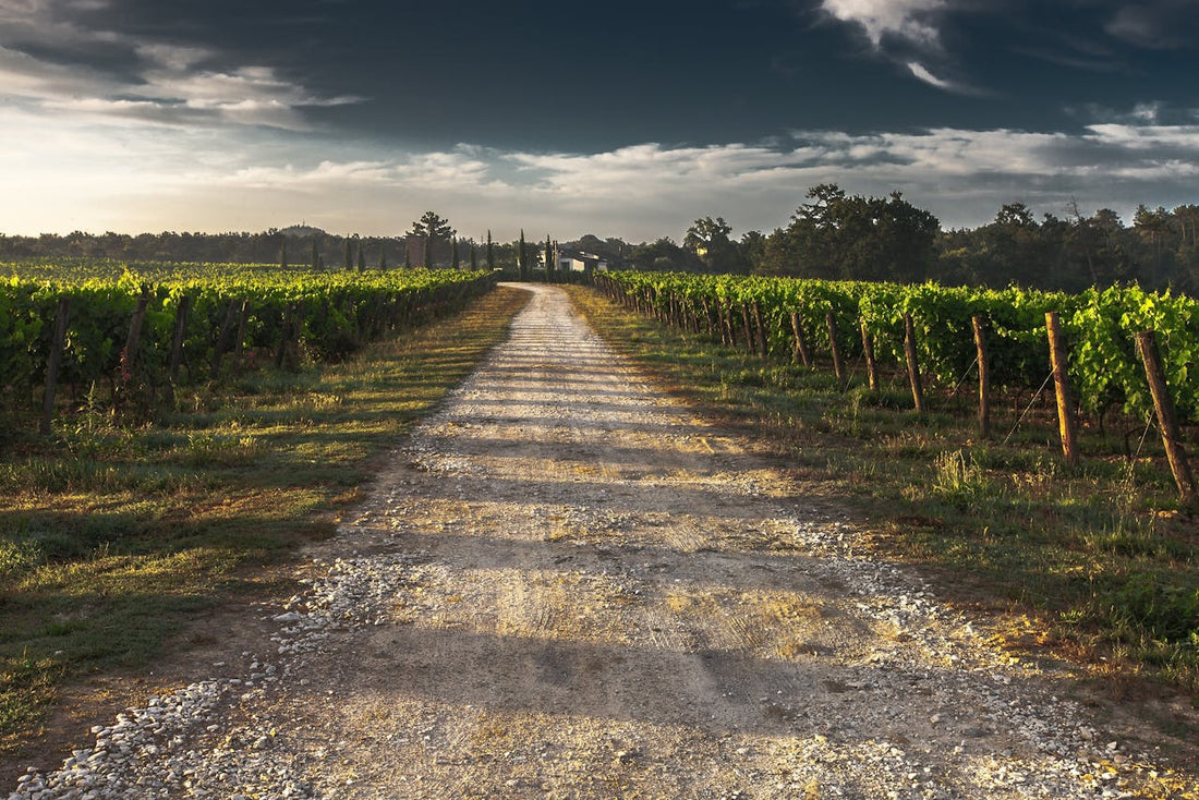 The Other Wine Country: Unique Outdoor Activities in Mendocino and Sonoma County
