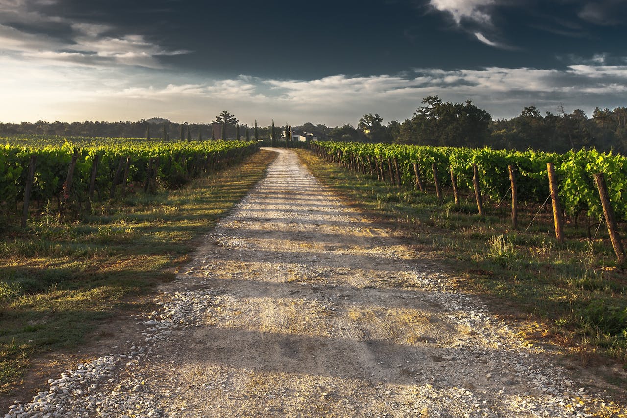 The Other Wine Country: Unique Outdoor Activities in Mendocino and Sonoma County