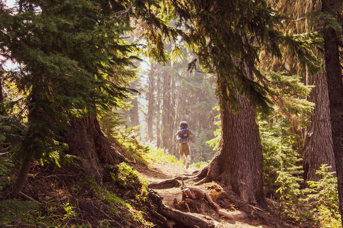 Historical Trails: Hiking Routes that Shaped America’s History