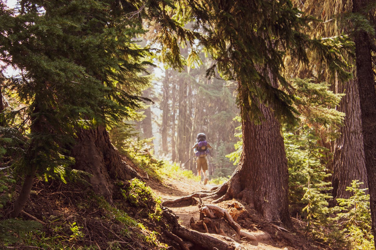 Historical Trails: Hiking Routes that Shaped America’s History