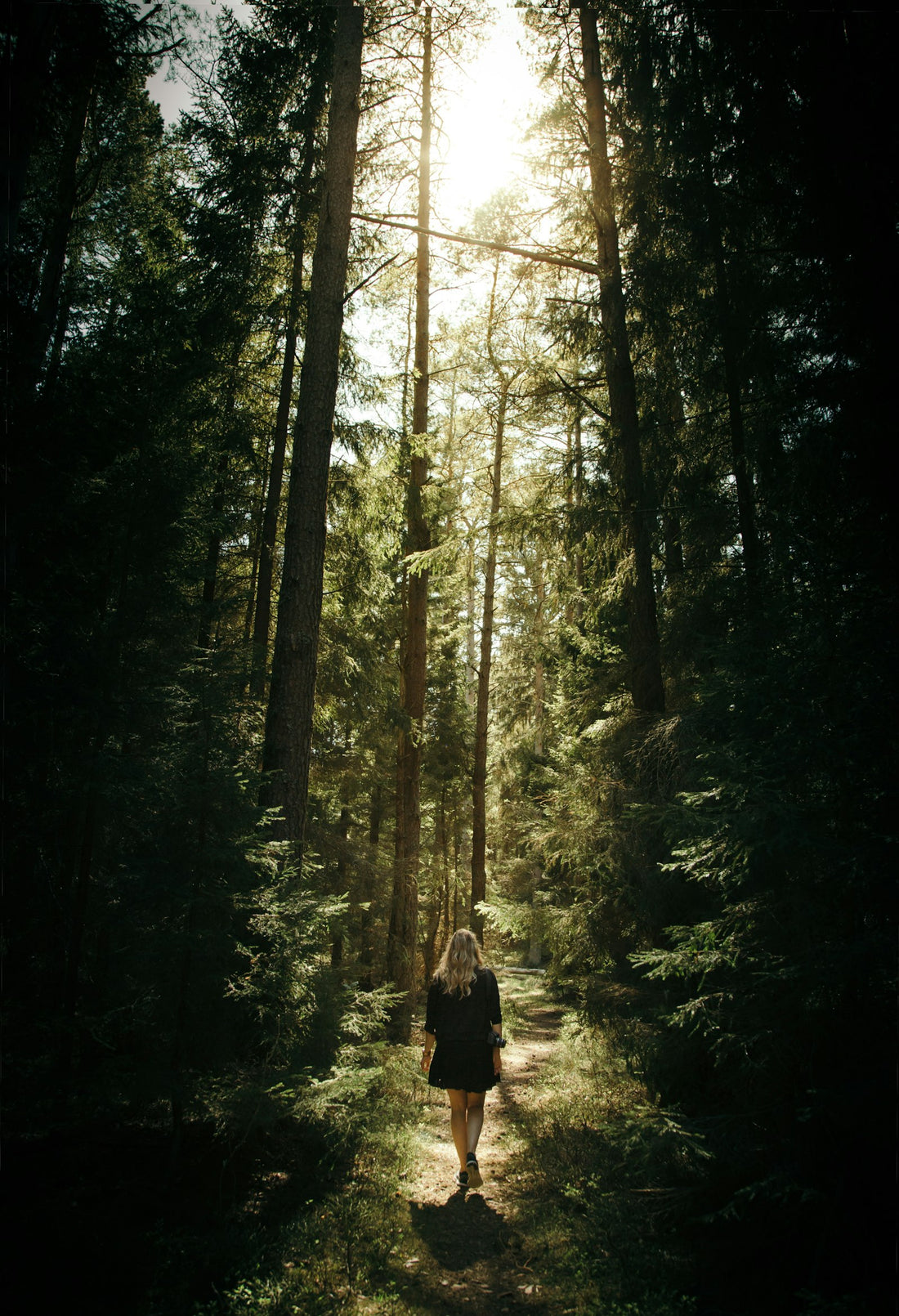 Hiker walking along a wooded forest trail, the kind of terrain where tick season varies by region