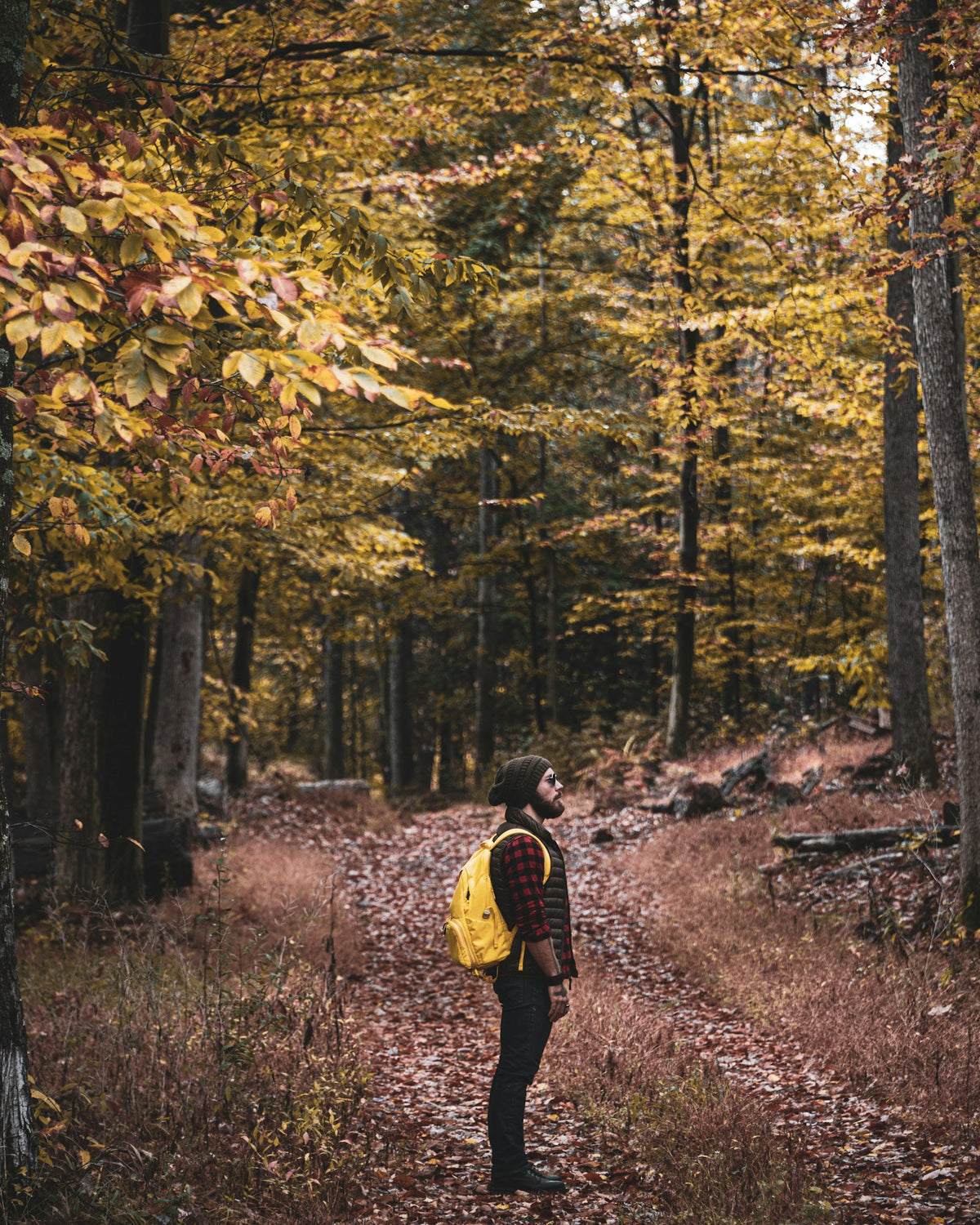 Hiker in a yellow jacket walking a wooded trail during peak fall foliage