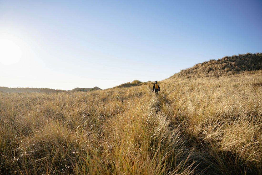 Hiker walking through tall grass and brush on a wooded trail, where ticks commonly wait to latch on