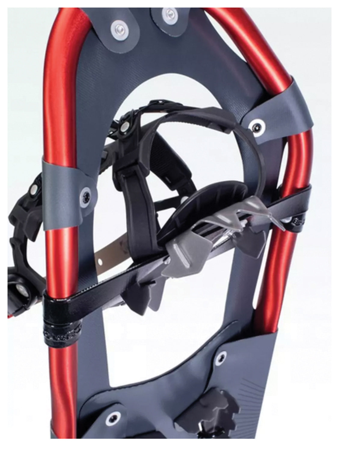 Atlas Treeline 30 Snowshoe